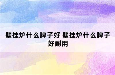 壁挂炉什么牌子好 壁挂炉什么牌子好耐用